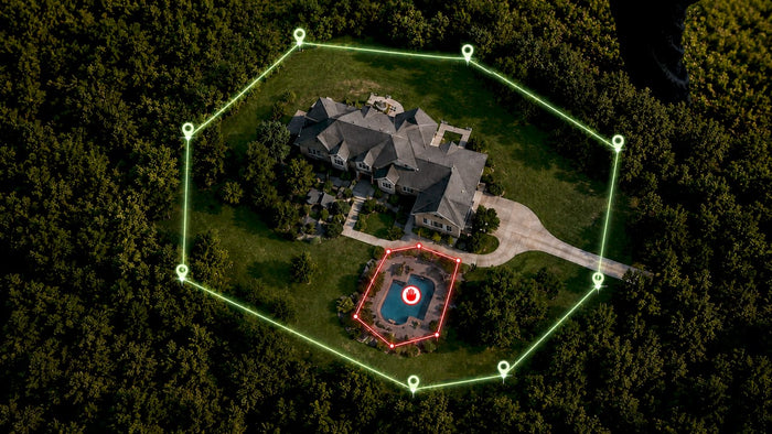 Dog wearing GPS collar in backyard