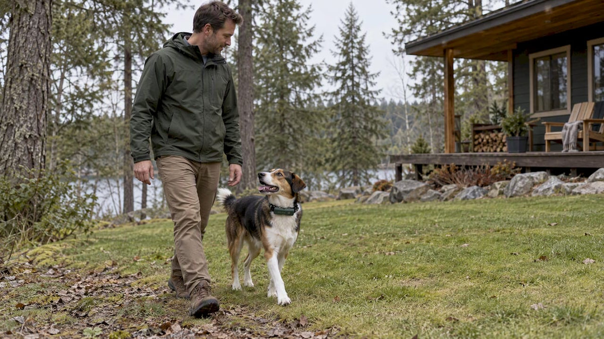 Dog wearing a GPS collar beside its owner